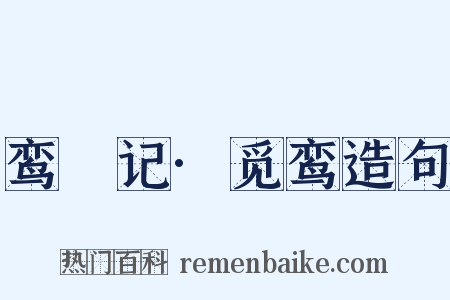 鸾鎞记·觅鸾造句是什么意思的图片